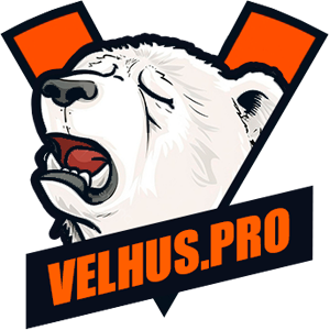 Logo VELHUS PRO